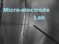 Micro-electrode lab